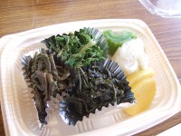 道後山ネイチャーハイク