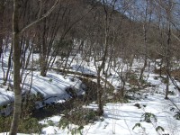 道後山ネイチャーハイク